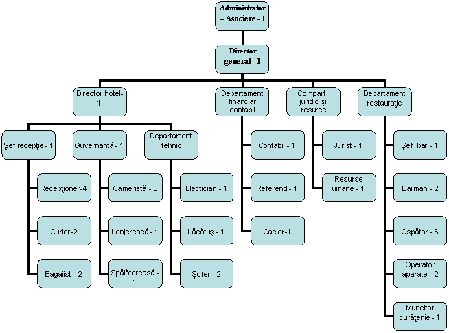 Organization Chart