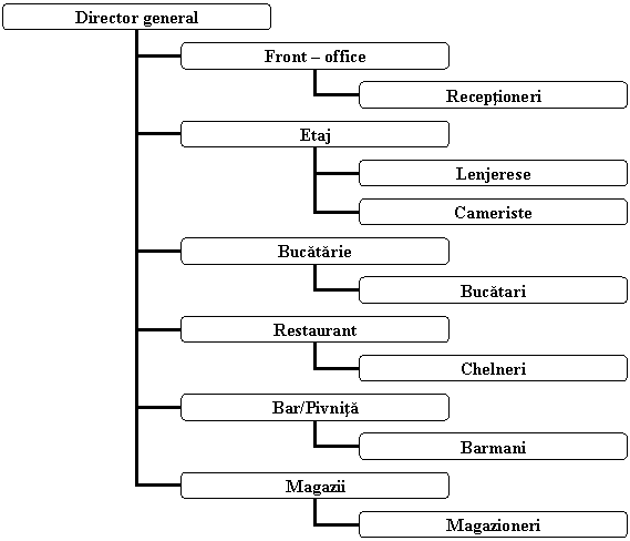 Organization Chart