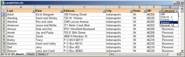 Figure 6-9: Use an AutoFilter to narrow down the list of records to those matching certain values in certain fields.