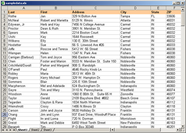 Figure 6-1: A simple database in Excel.